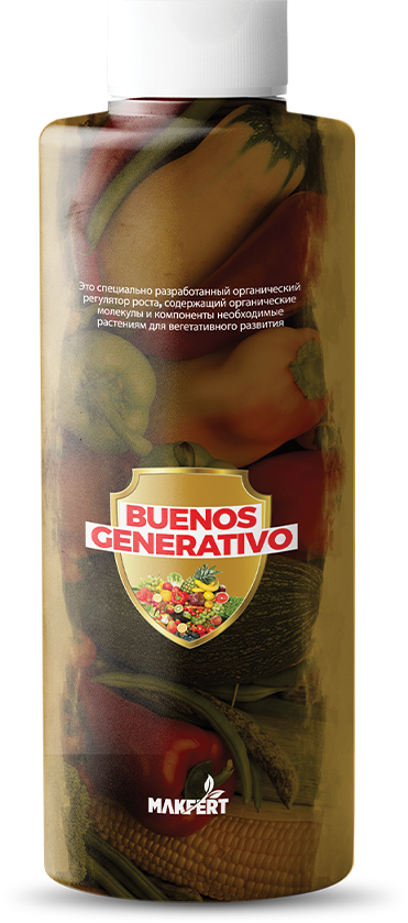 BUENOS GENERATIVO