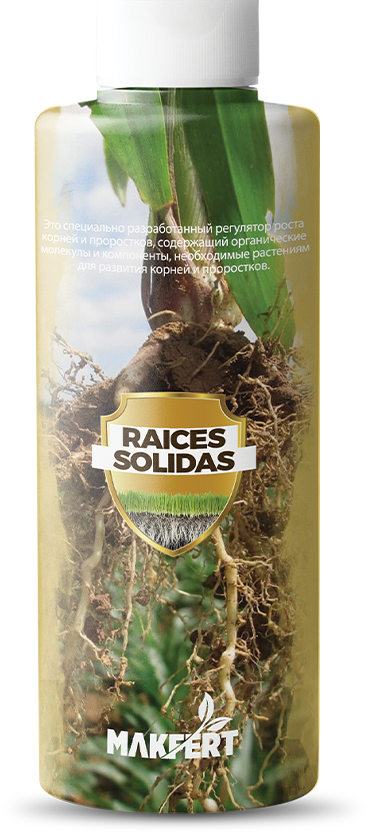 RAICES SOLIDAS